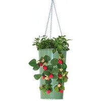 Houston International Trading 8395E AG Enameled Galvanized Hanging Strawberry&#44; Floral Planter - AppleGreen   